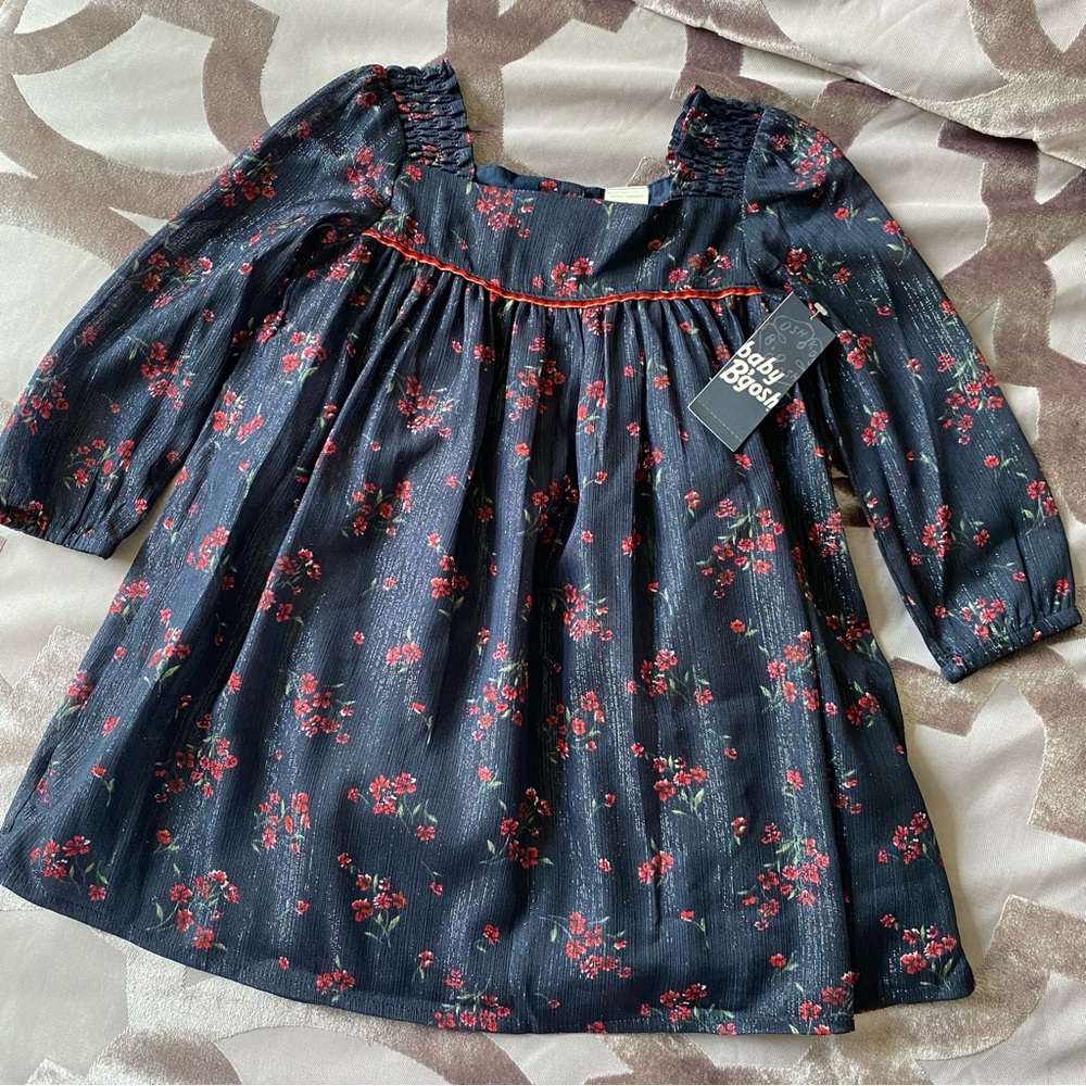 Dress (size 24 mths)
